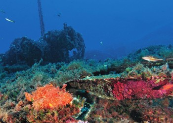 Diving & Snorkeling in Area Marina Protetta
