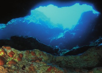 Diving & Snorkeling in Area Marina Protetta