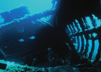 Diving & Snorkeling in Area Marina Protetta