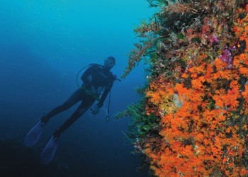 Diving & Snorkeling in Area Marina Protetta