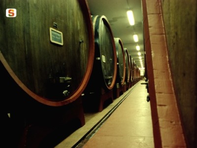 Sella & Mosca Cantine