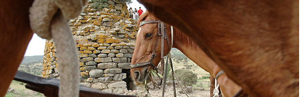 Equitazione