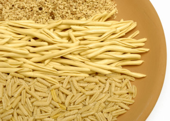 Pasta Sarda